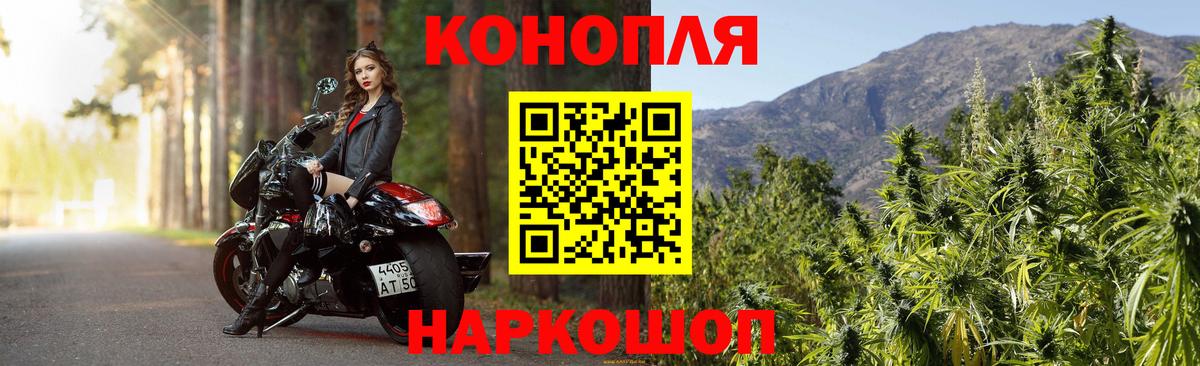 Бошки Шишки OG Kush Кудымкар